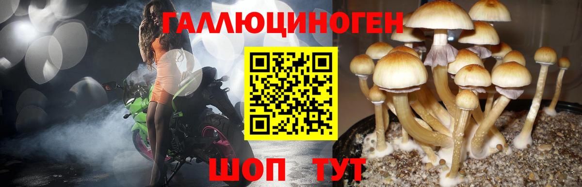 Псилоцибиновые грибы MAGIC MUSHROOMS Черногорск