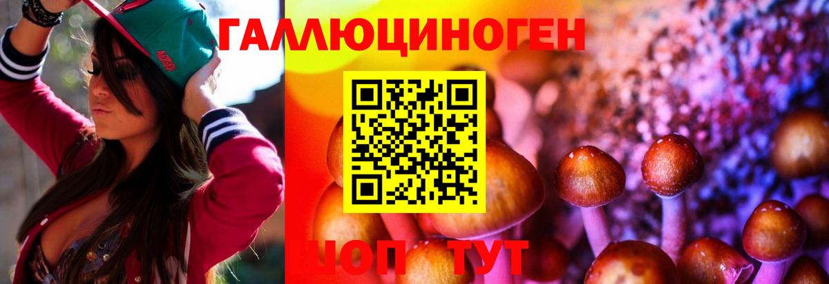 Псилоцибиновые грибы мухоморы  Галлюциногенные грибы GOLDEN TEACHER  Черногорск  Вход с VPN 